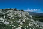 L'Amiata vista dalla vetta del Monte Labro (37kb)
